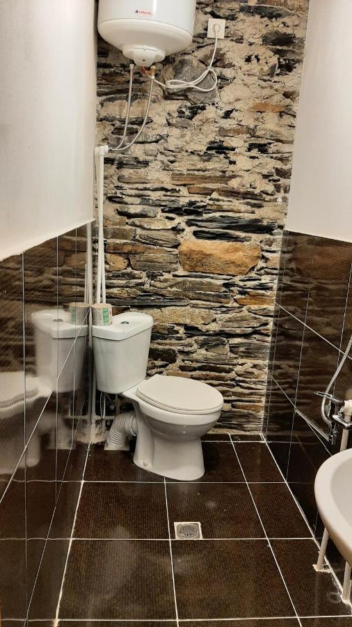 Guesthouse Svanuri Sakhli Ушгули Экстерьер фото